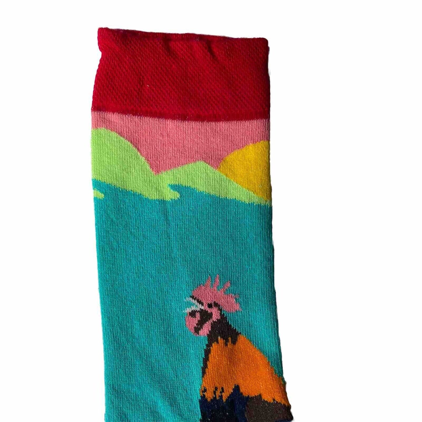 Novelty Socks Rooster Top